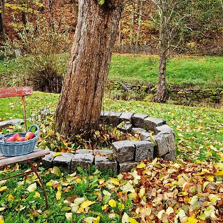 Feriehus Holzhaus Mit Kamin - Am Forellenfluss Foeritztal