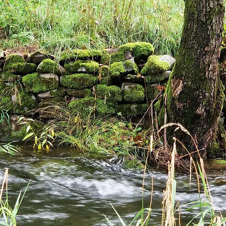 Feriehus Holzhaus Mit Kamin - Am Forellenfluss Foeritztal