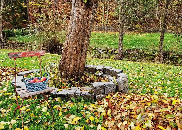 Prázdninový dům Holzhaus Mit Kamin - Am Forellenfluss Foeritztal