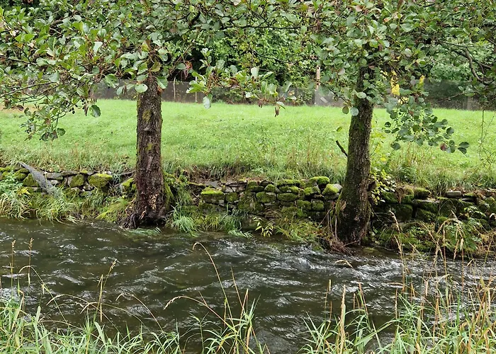 Holzhaus Mit Kamin - Am Forellenfluss * Foeritztal