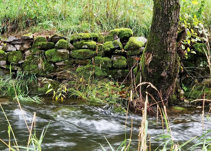 Prázdninový dům Holzhaus Mit Kamin - Am Forellenfluss Foeritztal